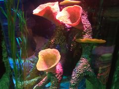 -沈阳海洋探索中心