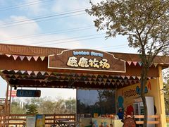 -盈香心动乐园