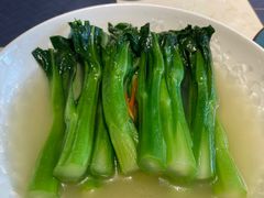 -点都德·毕德寮