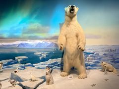 -陕西自然博物馆