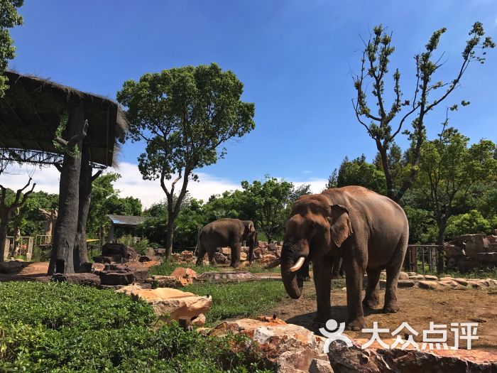 上海野生動物園圖片 - 第298張