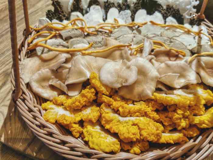 聚龙堂肉饼鸡-"出差来到龙里,有幸被邀请到聚龙堂吃了一顿.