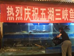 水产区-鑫巴蜀小镇 · 水煮鱼专研店(玉桥店)