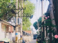 景点-什刹海-后海