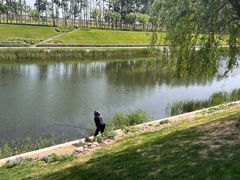 -坝河休闲公园