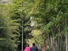 -莫干山风景区