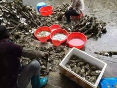 -浪琴湾尾角仔海鲜坊