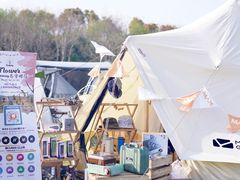 -上海海湾国家森林公园