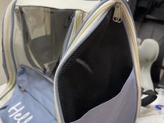 -宠颐生猫科·内科皮肤科(西平世纪城店)