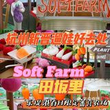 ✅乐堤港有春日限定蕃喜农场啦，Soft Farm超好拍📷