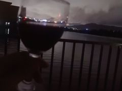 -肥舅父農莊