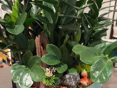 -高佳庄·海鲜酒楼(定海店)
