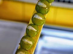 -栗子侠奶皮子糖葫芦(长宁店)