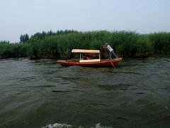 景点-白洋淀景区