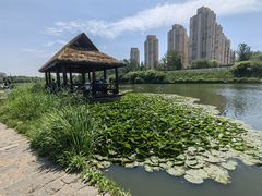 -前关湿地公园