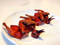 脆皮妙龄鸽-新荣记(新源南路店)
