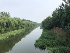 -东郊湿地公园