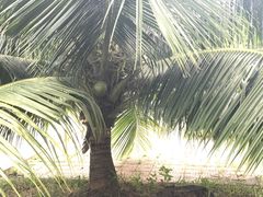 -吐斯廉屠杀博物馆