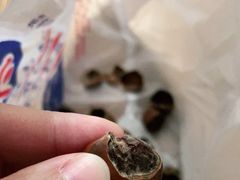 -阿男野栗王(金门路店)