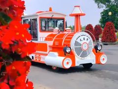 -荷兰花海