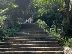 -黔灵山公园