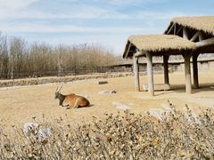 -济南野生动物世界