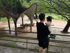 -深圳野生动物园