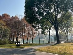 -尚贤河湿地