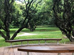 -燕晗山郊野公园