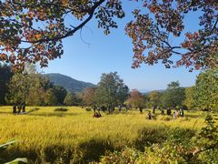 -塔川景区