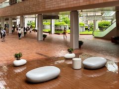 -香港大学