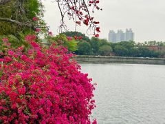 -东山湖公园