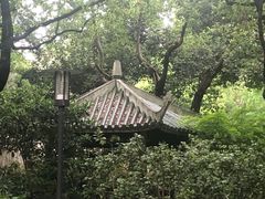 -华山儿童公园