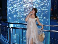 -厦门海底世界
