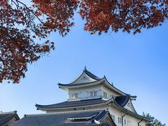-名古屋城