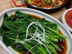 白灼菜芯-成都吃客(九眼桥店)