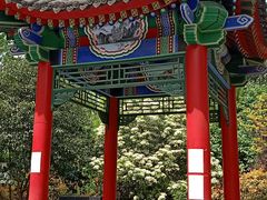-莲湖公园