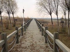 -呼兰河口湿地公园