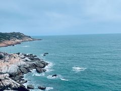 -广东惠东海龟国家级自然保护区