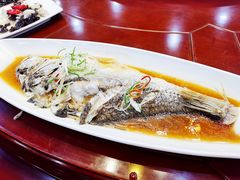 清蒸鲑鱼-華僑飯店中餐厅
