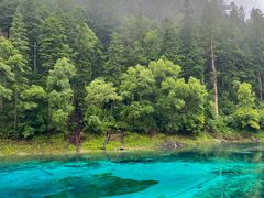 -九寨沟爱情海景区