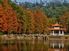 -深圳仙湖植物园