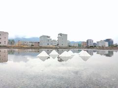 -盐洲岛