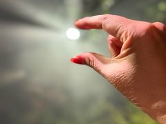 -精绝七日-新疆尼雅遗址数字大展【拉法耶文化艺术中心】