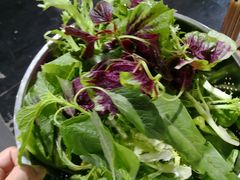 -黔府豆米火锅野菜馆(南马店)