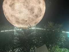 -恬阿姨庭院餐厅·生日宴