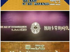 -上海博物馆(人民广场馆)