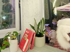 -有猫主题·治愈系猫咖(曾厝垵店)