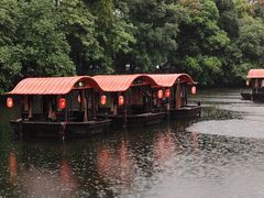 -侨美·唐荔园·40年地道粤菜