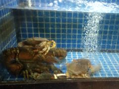 -碧海银沙海鲜餐厅(恒大海上威尼斯店)